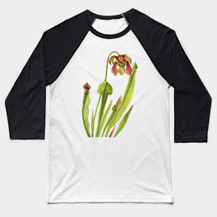 Catesby Pitcherplant - Sarracenia catesaei - Walcott - Botanical Illustration Baseball T-Shirt